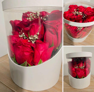 Cilindro en Rosas